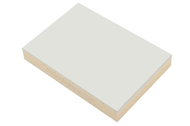 XPS Foam Sandwich Panel (3)